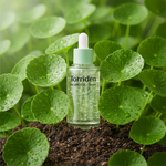 Torriden Cica Serum - Grounded on Leaves
